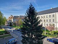 Český Těšín