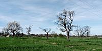 Lukovany