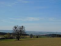 Němčice Zhoř