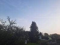 Olešná