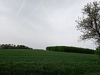 Lukovany
