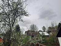 Olešná