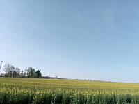 Lukovany