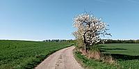 Lukovany