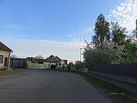 Třibřichy