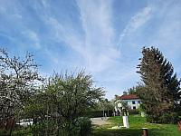 Olešná