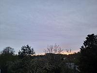 Olešná