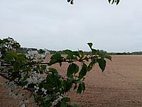 Lukovany