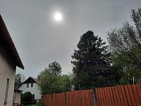 Olešná