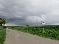 Třibřichy
