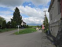 Třibřichy