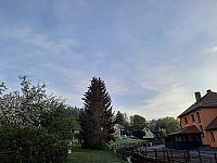 Olešná