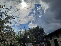 Olešná