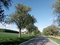 Lukovany