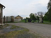 Třibřichy