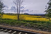 Třebíč-Borovina