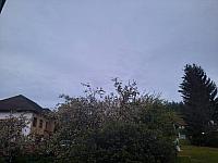 Olešná