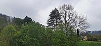 Holčovice