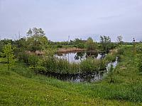 Císařov
