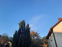 Olešná