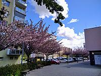 Třebíč Horka-Domky