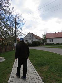 Třibřichy
