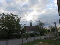 Třibřichy