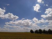 Habrovany