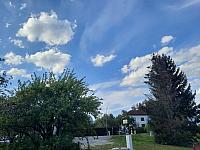 Olešná
