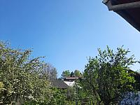 Olešná
