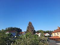 Olešná