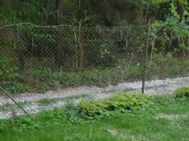 Němčice Zhoř
