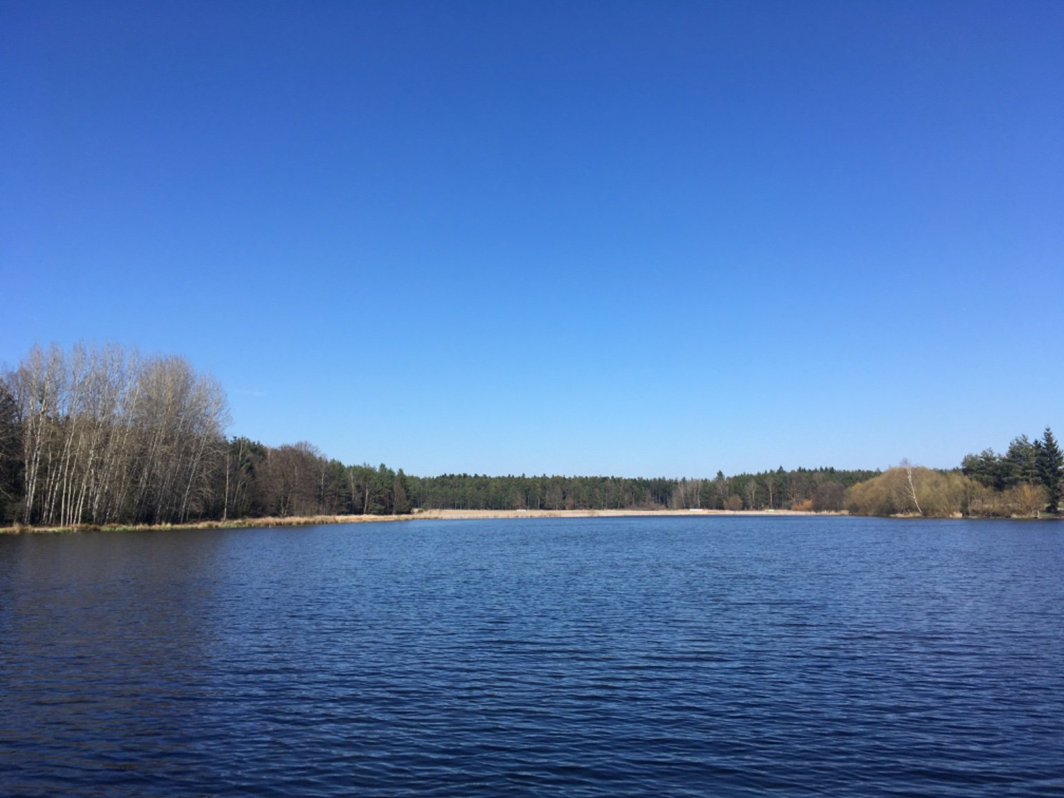 Dobříš