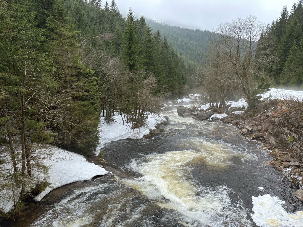 Bílé Labe