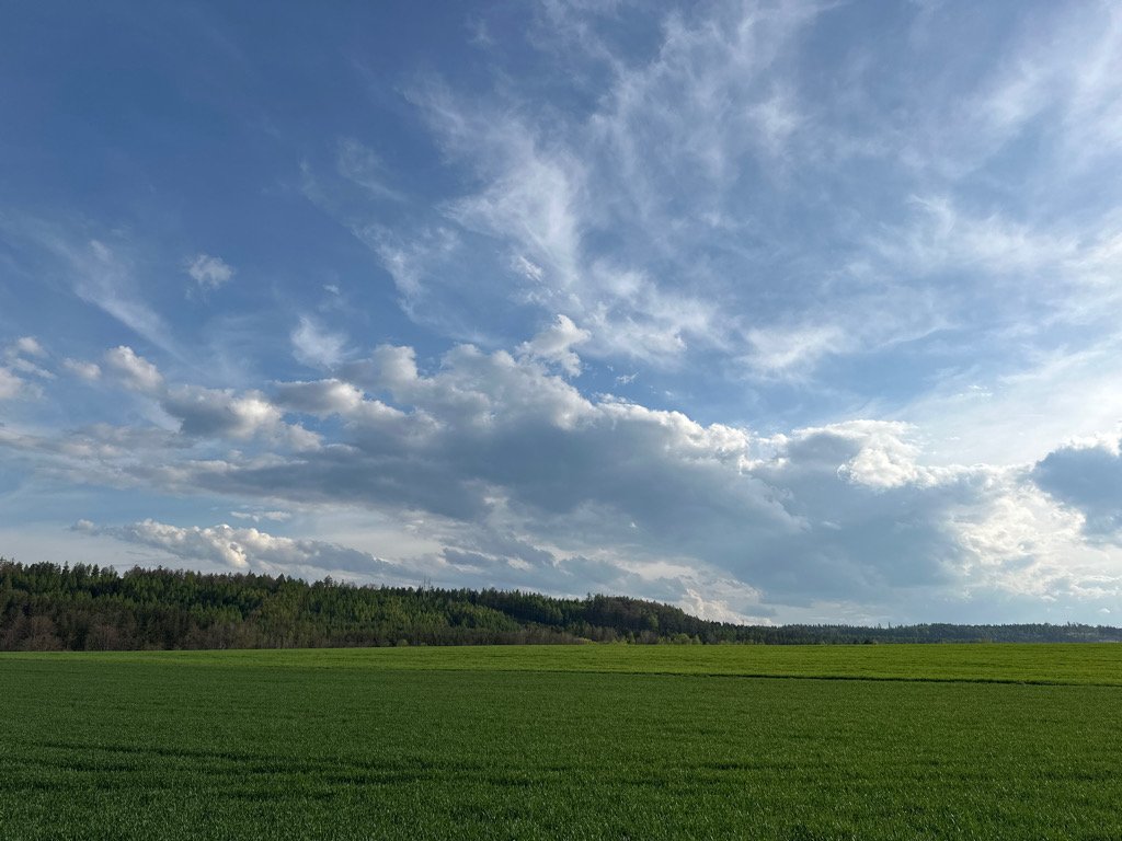 Třtice