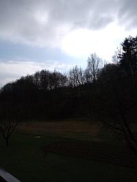 Hvozdnica