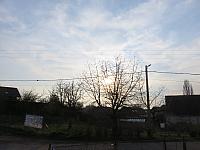 Třibřichy