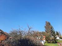 Olešná