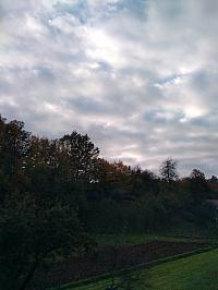 Hvozdnica