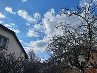 Olešná