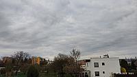 Hořice - Libonice