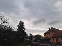 Olešná