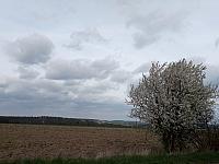 Lukovany