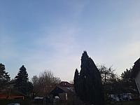 Olešná
