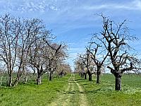 Hrnčiarovce nad Parnou