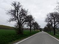 Lukovany