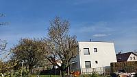 Hořice - Libonice
