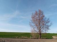 Lukovany