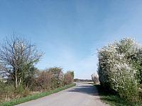Lukovany