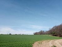 Lukovany